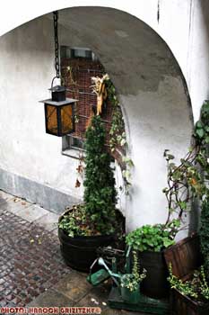 IMG_ (11312)